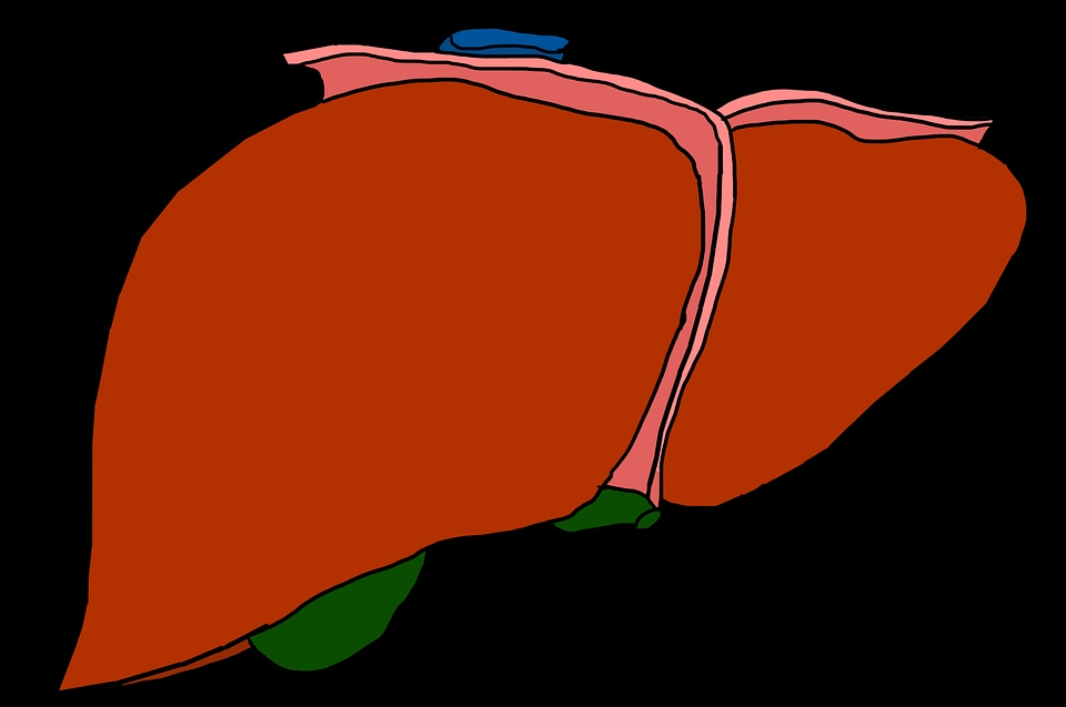 Liver, 간염 간질환