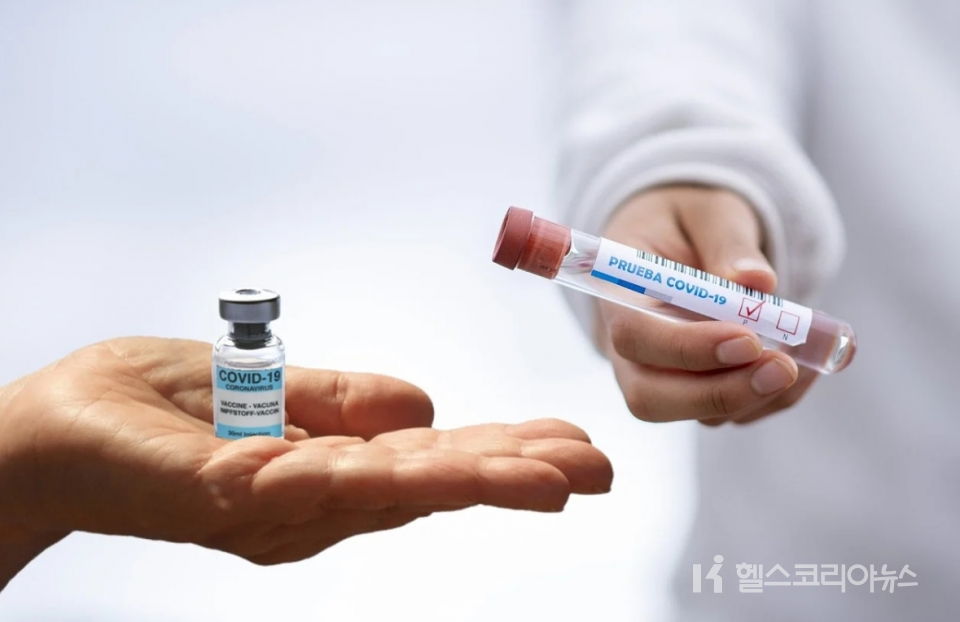 예방접종 의료 백신접종 주사기 주사놓기 코로나19백신 독감예방접종 Covid-19 세계적대유행병 팬데믹