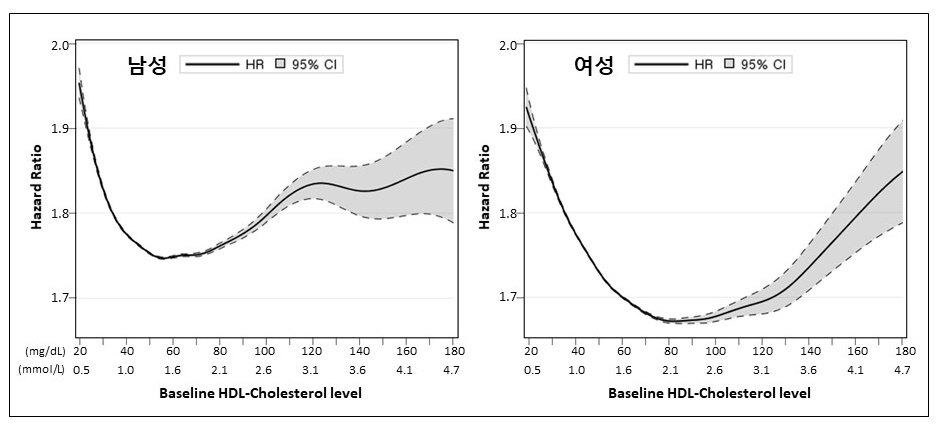 주요 심혈관 사건 위험 비율(Hazard Ratio)과 HDL-콜레스테롤 수치의 관계 그래프. U자 곡선이 여성에서 남성보다 늦게 상향된다. [자료=건국대병원 제공]