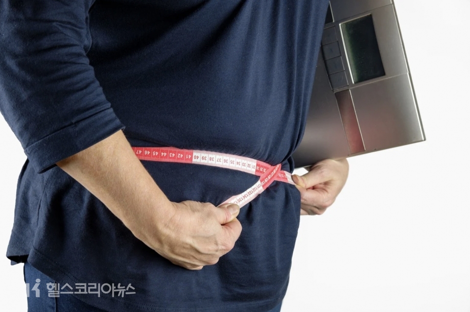 [사진=헬스코리아뉴스 D/B] 비만 과체중