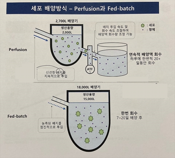 연속배양(Perfusion)과 유가식(Fed Batch) 배양 방식 [자료=에이프로젠 제공]