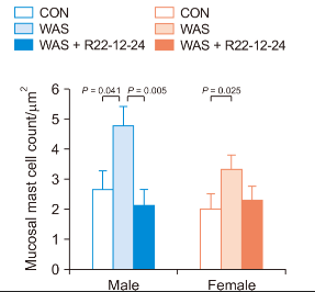 과민성장증후군 유사 증상을 겪는 쥐(WAS, 가운데 막대)에 로즈부리아 파에시스 투여 시(WAS+R22-12-24, 오른쪽 막대) 과민성장증후군 증상을 악화시키는 비만세포의 수가 크게 감소했다. 이러한 경향은 수컷(Male, 파란색) 쥐에서 두드러지는 결과를 보였다.
